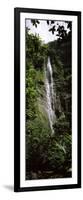 Waterfall in a Forest, Waimoku Falls, Haleakala National Park, Maui, Hawaii, USA-null-Framed Photographic Print