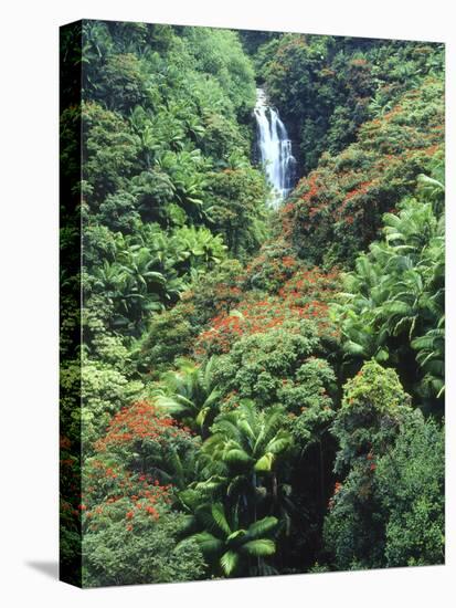 Waterfall in a Tropical Rain Forest, Hawaii, USA-Christopher Talbot Frank-Stretched Canvas