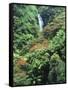 Waterfall in a Tropical Rain Forest, Hawaii, USA-Christopher Talbot Frank-Framed Stretched Canvas