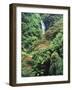 Waterfall in a Tropical Rain Forest, Hawaii, USA-Christopher Talbot Frank-Framed Photographic Print