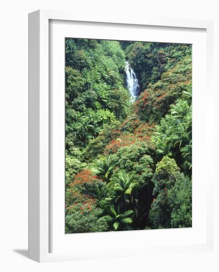 Waterfall in a Tropical Rain Forest, Hawaii, USA-Christopher Talbot Frank-Framed Photographic Print