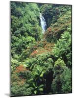 Waterfall in a Tropical Rain Forest, Hawaii, USA-Christopher Talbot Frank-Mounted Photographic Print