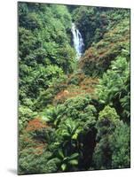 Waterfall in a Tropical Rain Forest, Hawaii, USA-Christopher Talbot Frank-Mounted Photographic Print