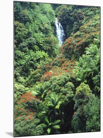 Waterfall in a Tropical Rain Forest, Hawaii, USA-Christopher Talbot Frank-Mounted Photographic Print