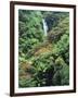 Waterfall in a Tropical Rain Forest, Hawaii, USA-Christopher Talbot Frank-Framed Photographic Print