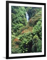 Waterfall in a Tropical Rain Forest, Hawaii, USA-Christopher Talbot Frank-Framed Photographic Print