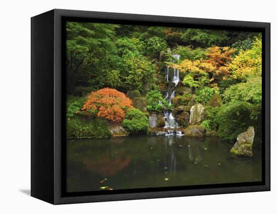 Waterfall in Autumn at the Portland Japanese Garden, Portland, Oregon, USA-Michel Hersen-Framed Stretched Canvas