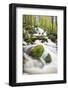 Waterfall in autumn woodland beside Loch Ken, Galloway Forest Park, Dumfries and Galloway-Stuart Black-Framed Photographic Print