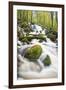 Waterfall in autumn woodland beside Loch Ken, Galloway Forest Park, Dumfries and Galloway-Stuart Black-Framed Premium Photographic Print