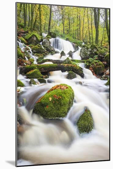 Waterfall in autumn woodland beside Loch Ken, Galloway Forest Park, Dumfries and Galloway-Stuart Black-Mounted Photographic Print