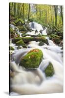 Waterfall in autumn woodland beside Loch Ken, Galloway Forest Park, Dumfries and Galloway-Stuart Black-Stretched Canvas