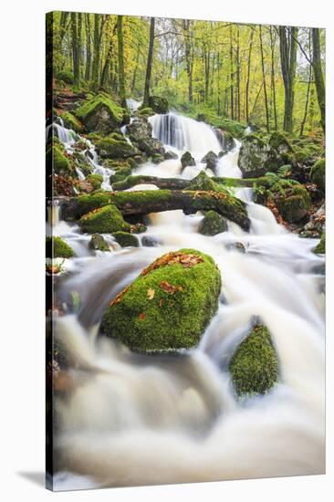 Waterfall in autumn woodland beside Loch Ken, Galloway Forest Park, Dumfries and Galloway-Stuart Black-Stretched Canvas