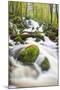 Waterfall in autumn woodland beside Loch Ken, Galloway Forest Park, Dumfries and Galloway-Stuart Black-Mounted Photographic Print