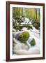 Waterfall in autumn woodland beside Loch Ken, Galloway Forest Park, Dumfries and Galloway-Stuart Black-Framed Photographic Print