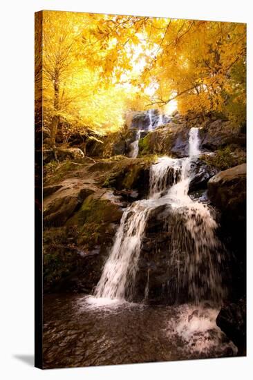 Waterfall in Autumn-Lantern Press-Stretched Canvas