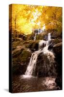 Waterfall in Autumn-Lantern Press-Stretched Canvas