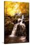 Waterfall in Autumn-Lantern Press-Stretched Canvas