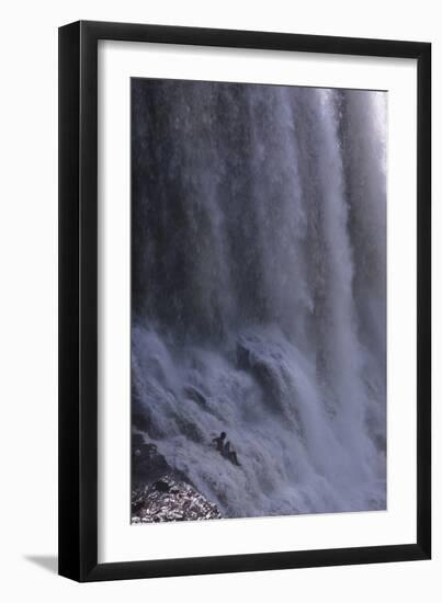 Waterfall in Canaima National Park Venezuela-Charles Bowman-Framed Photographic Print