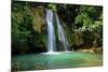 Waterfall in Deep Green Forest-Vitaliy Pakhnyushchyy-Mounted Photographic Print