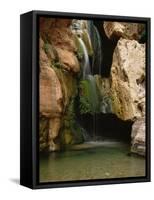 Waterfall in Elves Chasm, Colorado River, Grand Canyon NP, Arizona-Greg Probst-Framed Stretched Canvas