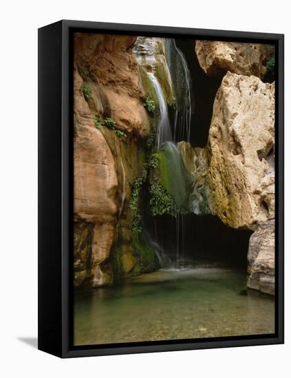 Waterfall in Elves Chasm, Colorado River, Grand Canyon NP, Arizona-Greg Probst-Framed Stretched Canvas