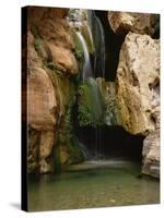 Waterfall in Elves Chasm, Colorado River, Grand Canyon NP, Arizona-Greg Probst-Stretched Canvas