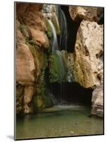 Waterfall in Elves Chasm, Colorado River, Grand Canyon NP, Arizona-Greg Probst-Mounted Photographic Print