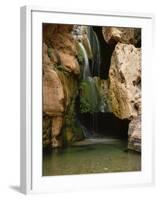 Waterfall in Elves Chasm, Colorado River, Grand Canyon NP, Arizona-Greg Probst-Framed Photographic Print