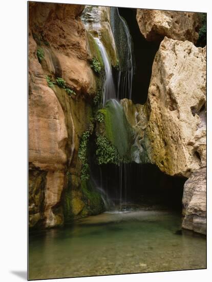 Waterfall in Elves Chasm, Colorado River, Grand Canyon NP, Arizona-Greg Probst-Mounted Photographic Print