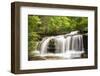 Waterfall in forest, Burden Falls, Shawnee National Forest, Saline County, Illinois, USA-Panoramic Images-Framed Photographic Print