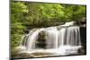 Waterfall in forest, Burden Falls, Shawnee National Forest, Saline County, Illinois, USA-Panoramic Images-Mounted Photographic Print