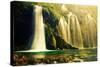 Waterfall in Forest. Crystal Clear Water. Plitvice Lakes, Croatia-Michal Bednarek-Stretched Canvas