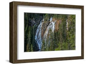 Waterfall in forest, Grassi Falls, Canmore, Alberta, Canada-null-Framed Photographic Print