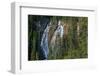 Waterfall in forest, Grassi Falls, Canmore, Alberta, Canada-null-Framed Photographic Print