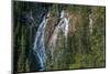 Waterfall in forest, Grassi Falls, Canmore, Alberta, Canada-null-Mounted Photographic Print