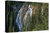 Waterfall in forest, Grassi Falls, Canmore, Alberta, Canada-null-Stretched Canvas