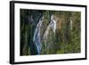 Waterfall in forest, Grassi Falls, Canmore, Alberta, Canada-null-Framed Photographic Print