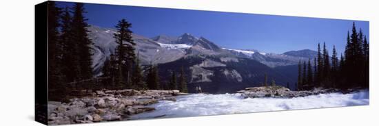 Waterfall in Forest, Twin Falls, Mt Balfour, Yoho Valley, Yoho National Park, Canada-null-Stretched Canvas