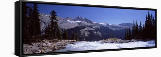 Waterfall in Forest, Twin Falls, Mt Balfour, Yoho Valley, Yoho National Park, Canada-null-Framed Stretched Canvas