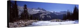 Waterfall in Forest, Twin Falls, Mt Balfour, Yoho Valley, Yoho National Park, Canada-null-Stretched Canvas