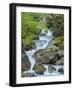 Waterfall in gorge of Gaisalpbach near Oberstdorf in the Allgau. Germany, Bavaria-Martin Zwick-Framed Photographic Print