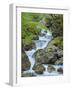 Waterfall in gorge of Gaisalpbach near Oberstdorf in the Allgau. Germany, Bavaria-Martin Zwick-Framed Photographic Print