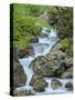 Waterfall in gorge of Gaisalpbach near Oberstdorf in the Allgau. Germany, Bavaria-Martin Zwick-Stretched Canvas