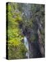 Waterfall in gorge of Gaisalpbach near Oberstdorf in the Allgau. Germany, Bavaria-Martin Zwick-Stretched Canvas