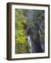 Waterfall in gorge of Gaisalpbach near Oberstdorf in the Allgau. Germany, Bavaria-Martin Zwick-Framed Photographic Print