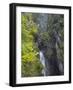 Waterfall in gorge of Gaisalpbach near Oberstdorf in the Allgau. Germany, Bavaria-Martin Zwick-Framed Photographic Print