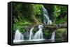 Waterfall in Lamington National Park in Queensland, Australia.-Rob D - Photographer-Framed Stretched Canvas