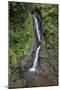 Waterfall in Mistico Hanging Bridges Park, Costa Rica.-Michele Niles-Mounted Photographic Print