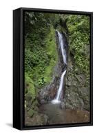 Waterfall in Mistico Hanging Bridges Park, Costa Rica.-Michele Niles-Framed Stretched Canvas