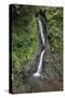 Waterfall in Mistico Hanging Bridges Park, Costa Rica.-Michele Niles-Stretched Canvas